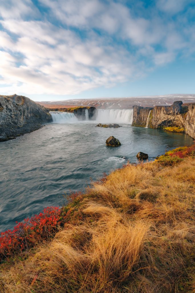 grasses turned yellow in Iceland in October