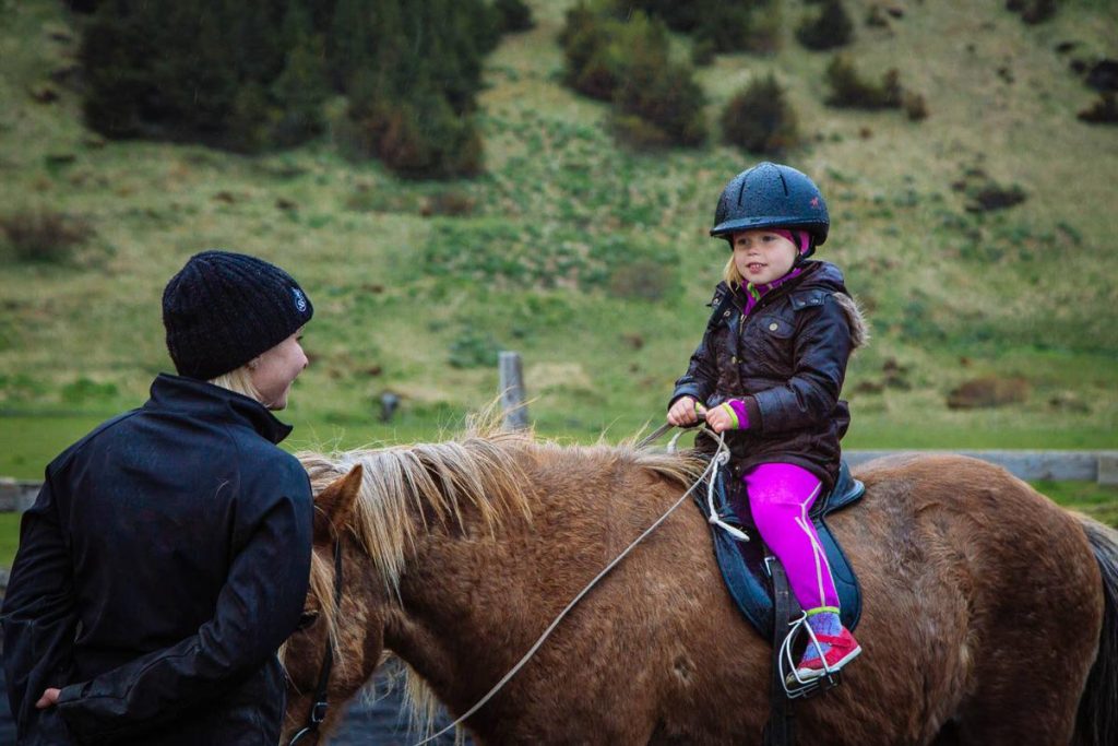 Icelandic horse is a good activity option for kids