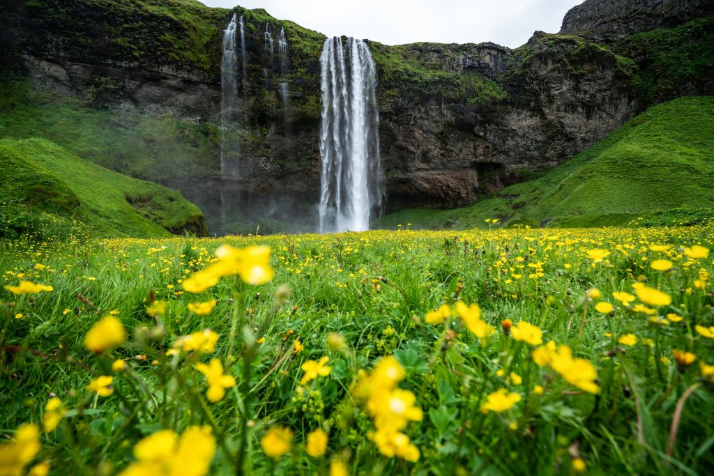 Spring in Iceland is from April to May