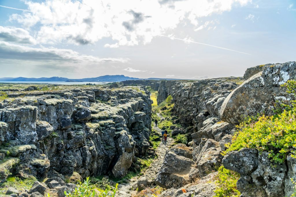 the view of Thingvellir National Park in summer iceland