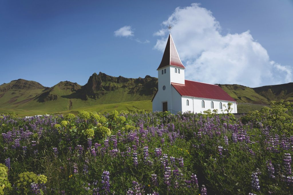 summer view of Iceland in Vik