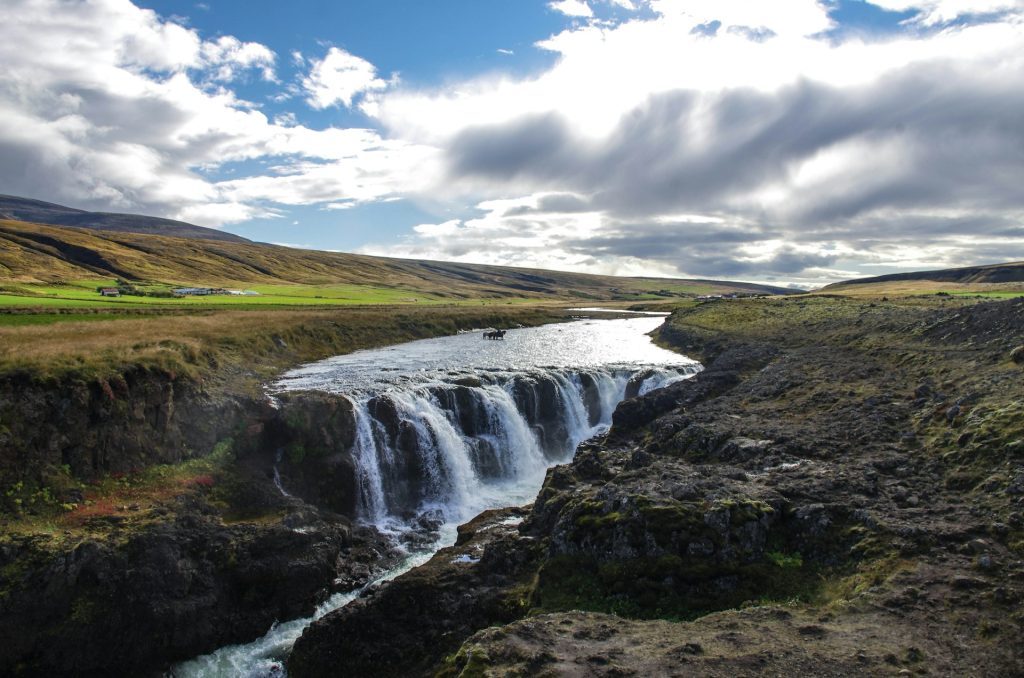 the summer Kolugljúfur Canyon Iceland