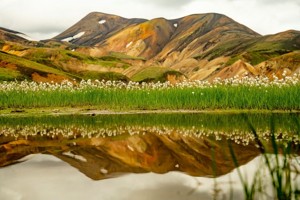 A view at the Lanmannalaugar highland in Iceland