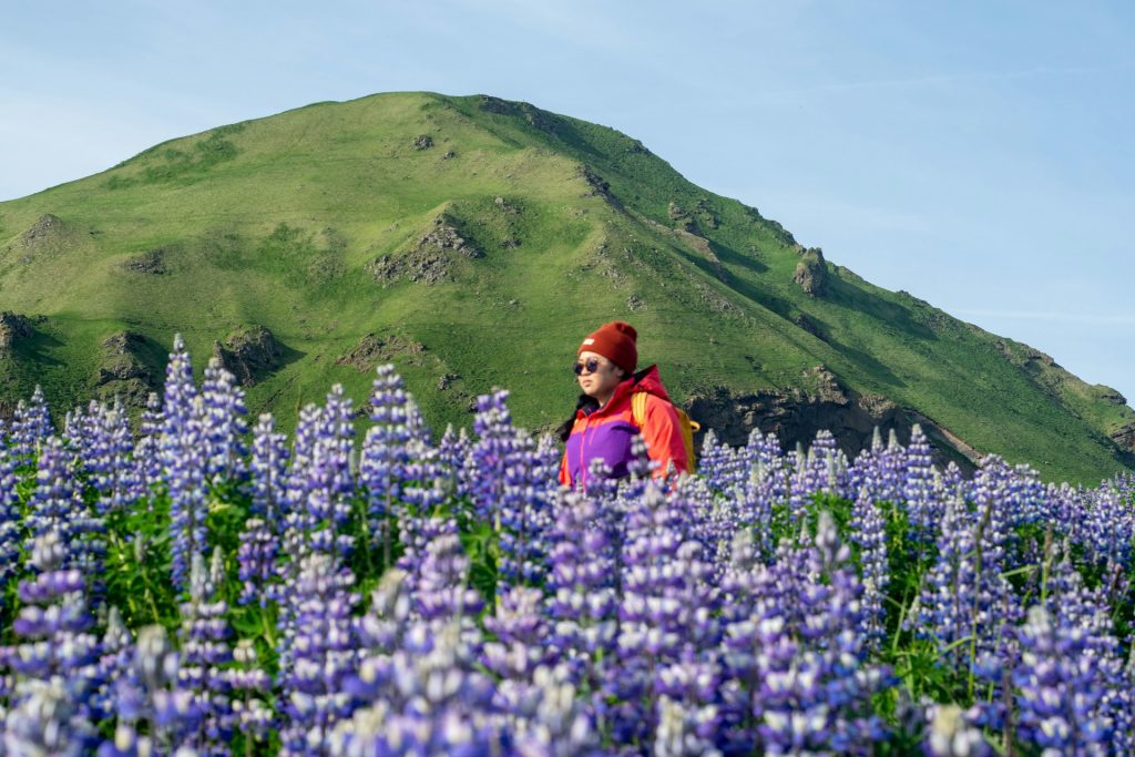 if you plan to hike in Iceland, dress well