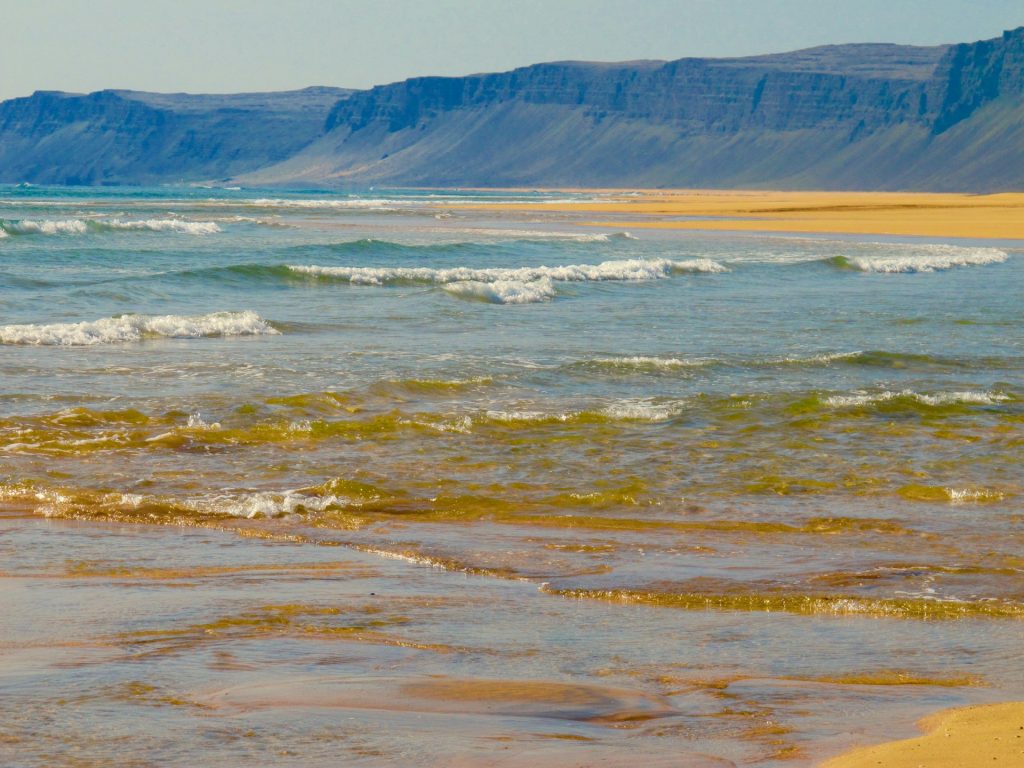 the Raudasandur beach in westfjord iceland
